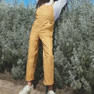 Everlane canvas overalls